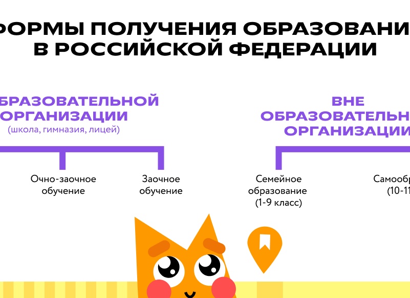 Заочное школьное образование: что это и зачем нужно?